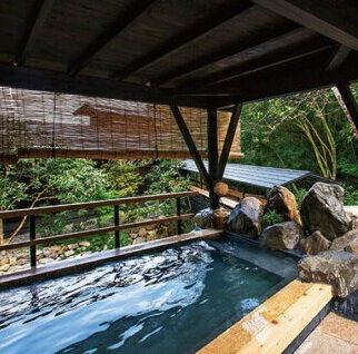【ふるさと納税】 宿泊 券 3,000円分 温泉 ギフト チケット 千年の美湯 そうだ山温泉 旅館 宿泊券 温泉 温泉旅館 トラベルクーポン トラベル 人気 おすすめ 温泉券 高知県 須崎市 サムネイル2