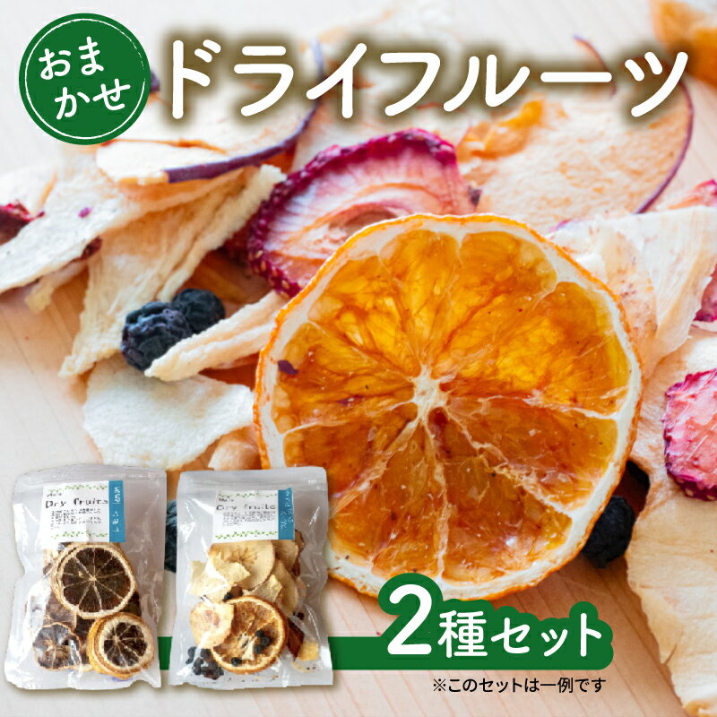 ドライフルーツ おまかせ 2種 セット 手作り 無添加 旬 フルーツ 果物 次郎柿 柿 ブラッドオレンジ みかん レモン いちご ブルーベリー 新高梨 梨 なし りんご くだもの 秋 旬 お試し ふるさと納税ドライフルーツ 人気 ふるさと納税 TJ0081