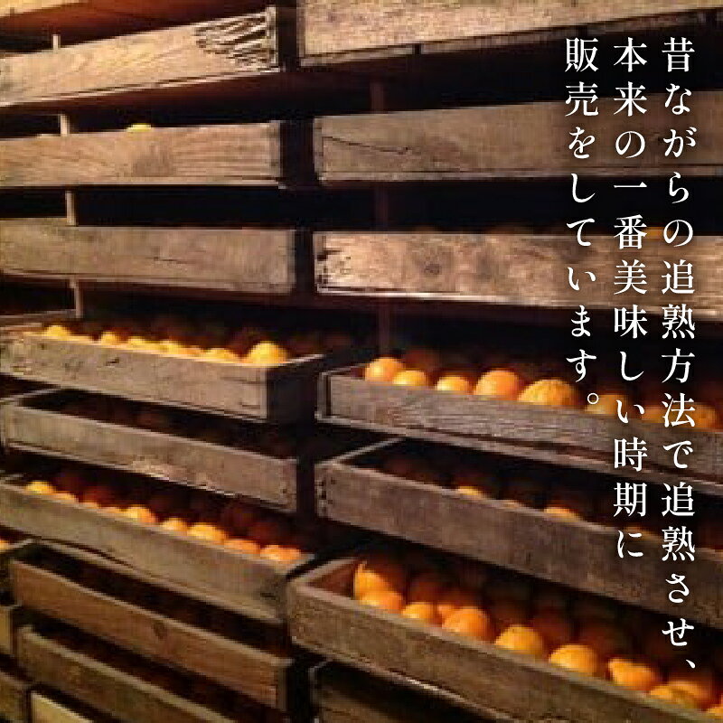 【ふるさと納税】 訳あり ぽんかん 2.5 ~ 10kg サイズ 混合 オーガニック 【 早期予約 2026年2月上旬より順次発送】 無農薬 有機 JAS認定 柑橘 みかん 蜜柑 家庭用 ふるさと納税柑橘 先行予約 数量限定 期間限定 旬 ふるさと納税ぽんかん くだもの フルーツ 果物 JAS サムネイル3