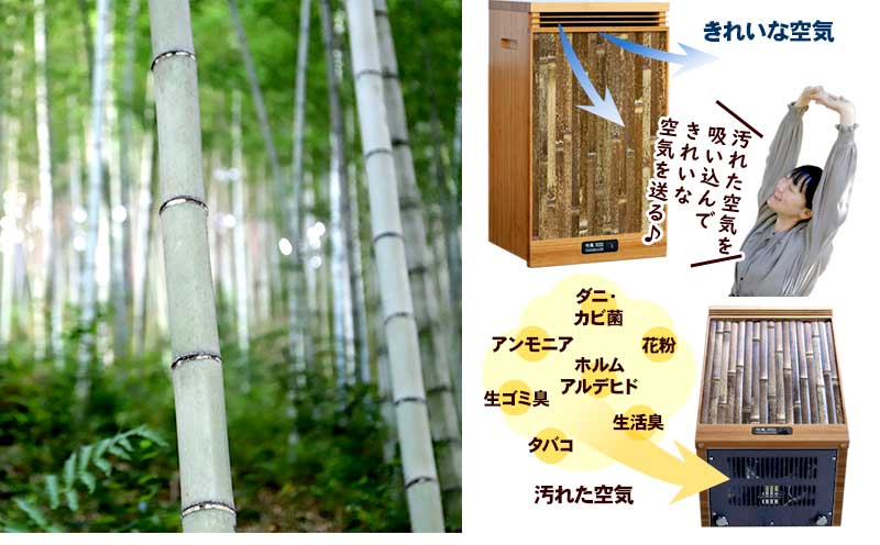 【ふるさと納税】 空気清浄機 「竹風」 竹炭カートリッジ式 家電製品 エコ ECO 静音 微粉塵 除去 ( ~12畳まで 和 おしゃれ 高級 家電 最高級 竹炭 循環型空気清浄機 日用品 匂い除去 ほこり除去 ) TT068 サムネイル2