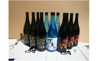 すくもの焼酎 1.8L 3種セット 本格焼酎 芋焼酎 麦焼酎 米焼酎 ギフト プレゼント お酒 アルコール 飲み比べ 晩酌 家飲み 贈答品 返礼品 地酒 高知県 土佐 特産品 名産品 産地直送 すくも 宿毛 宿毛市 高知県 137000円