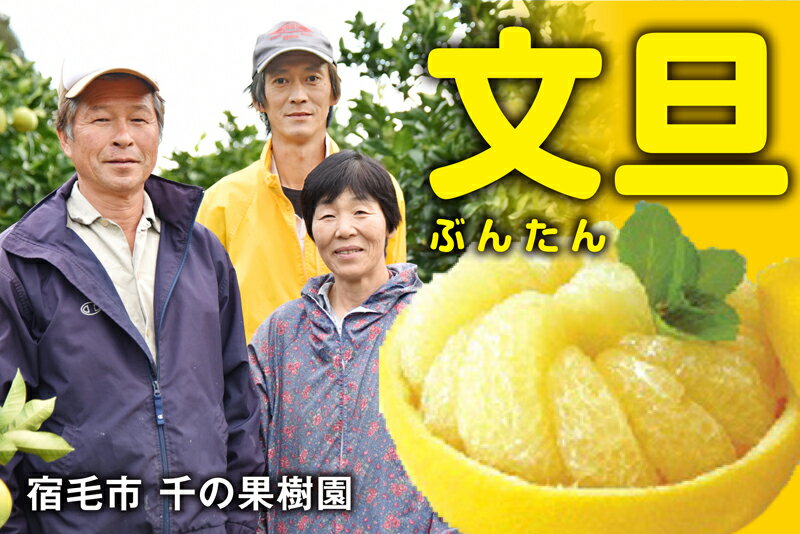 千の果樹園 訳あり 土佐文旦 5kg 家庭用 ぶんたん ブンタン 柑橘 みかん フルーツ 果物 柚子 ゆず 高知県産 四国 特産品 旬 贈答用 ギフト 贈り物 お歳暮 お中元 産地直送 自宅用 お取り寄せ 国産 果汁 ビタミンC 柑橘類 人気 宿毛市 高知県 10000円