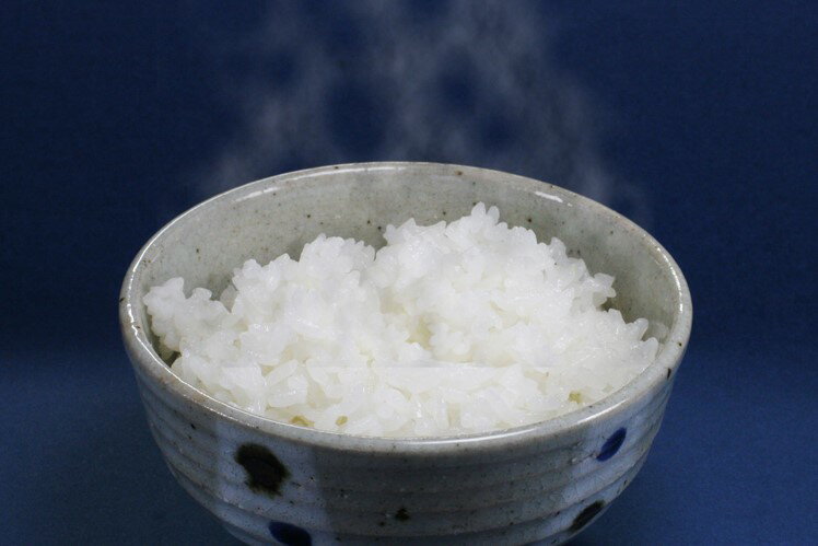 【ふるさと納税】 令和7年産 新米 5kg コシヒカリ すくも産 7日以内配送 すぐ届く 白米 精米 贈答 贈り物 プレゼント 高知県 産地直送 美味しい お米 ご飯 国産 農家直送 食味ランキング 特A 宿毛市 高知県 15000円 サムネイル2
