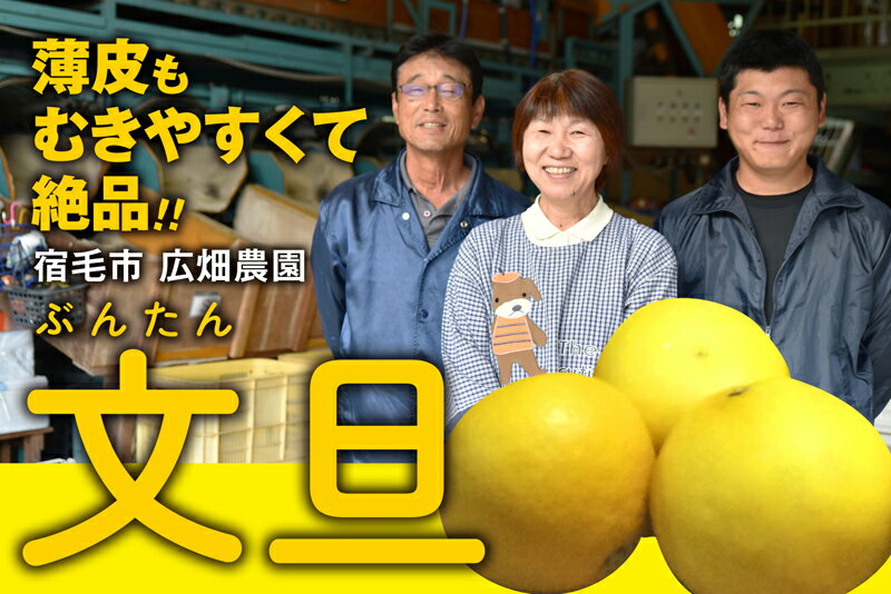 弾ける甘さ!! 訳あり 土佐文旦 5kg 家庭用 広畑農園 柑橘 果物 フルーツ 高知県産 贈答用 ギフト 贈り物 お歳暮 お中元 甘い 酸味 規格外 爽やか 特産品 名産 国産 旬 季節 冬 柚子 みかん 寒冷地 ビタミンC 健康 果汁 宿毛市 高知県 10000円