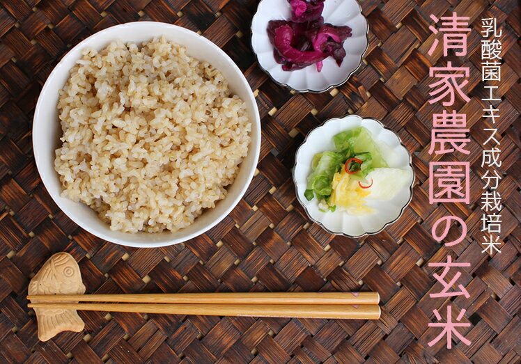 令和7年産 清家農園 錦米 にこまる 玄米 3kg 5kg 10kg 特別栽培 農薬不使用 米 お米 コメ ニコマル 有機栽培 自然栽培 健康 美味しい おいしい 贈答用 ギフト 贈り物 プレゼント 食品 農産物 地域特産品 高知県産 四国 宿毛市 高知県 10000円~