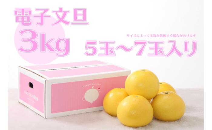 ハッピーフルーツ果樹園 電子文旦 3kg 贈答用 文旦 ブンタン ぶんたン 柑橘 みかん 蜜柑 果物 フルーツ 贈り物 ギフト お歳暮 お中元 高知県産 産地直送 甘酸っぱい 新鮮 特産品 地域特産 旬 季節 冬 名産 名物 宿毛市 高知県 10000円