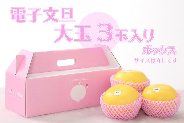 ハッピーフルーツ果樹園の電子文旦 3玉 大玉 贈答用 柑橘 みかん 文旦 ぶんたん ブンタン 果物 フルーツ 特産品 産地直送 旬 ギフト 贈り物 プレゼント 冬 正月 お歳暮 お中元 高級 甘い 美味しい 農家 地元 名産 特別栽培 自然 四国 宿毛市 高知県 9000円