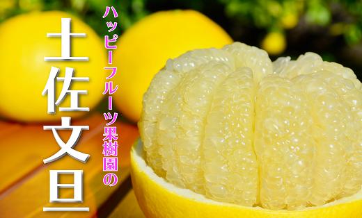 2026年先行予約 訳あり 土佐文旦 家庭用 5kg ハッピーフルーツ果樹園 文旦 ぶんたん ブンタン 柑橘 みかん フルーツ 果物 高知県産 特産品 名産 旬 季節 贈り物 ギフト お歳暮 お中元 産地直送 安心安全 自然栽培 農家 美味しい 宿毛市 人気 9000円
