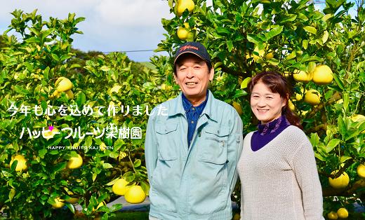 【ふるさと納税】 2026年先行予約 訳あり 土佐文旦 家庭用 5kg ハッピーフルーツ果樹園 文旦 ぶんたん ブンタン 柑橘 みかん フルーツ 果物 高知県産 特産品 名産 旬 季節 贈り物 ギフト お歳暮 お中元 産地直送 安心安全 自然栽培 農家 美味しい 宿毛市 人気 9000円 サムネイル2
