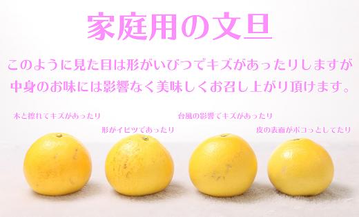 【ふるさと納税】 2026年先行予約 訳あり 土佐文旦 家庭用 5kg ハッピーフルーツ果樹園 文旦 ぶんたん ブンタン 柑橘 みかん フルーツ 果物 高知県産 特産品 名産 旬 季節 贈り物 ギフト お歳暮 お中元 産地直送 安心安全 自然栽培 農家 美味しい 宿毛市 人気 9000円 サムネイル3