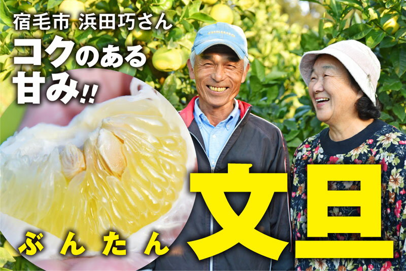 農家直送 訳あり 土佐文旦 5kg 家庭用 浜田巧 高知県産 文旦 ぶんたん ブンタン 柑橘 果物 フルーツ 甘酸っぱい 贈り物 ギフト 規格外 贈答品 季節限定 みかん 特産品 産地直送 自然の恵み 健康 ビタミンC 旬の味覚 グレープフルーツ 宿毛市 高知県 9000円