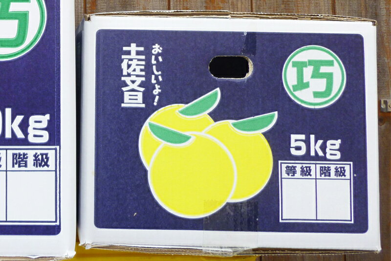 【ふるさと納税】 農家直送 訳あり 土佐文旦 5kg 家庭用 浜田巧 高知県産 文旦 ぶんたん ブンタン 柑橘 果物 フルーツ 甘酸っぱい 贈り物 ギフト 規格外 贈答品 季節限定 みかん 特産品 産地直送 自然の恵み 健康 ビタミンC 旬の味覚 グレープフルーツ 宿毛市 高知県 9000円 サムネイル3