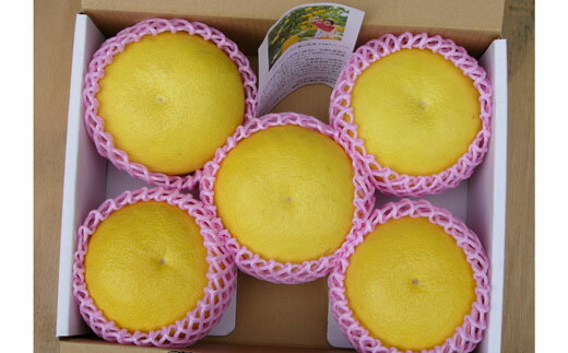 【ふるさと納税】 土佐文旦 3kg 贈答用 龍馬がゆく 園芸 文旦 柑橘 フルーツ 高知特産 ギフト 贈り物 果物 特産品 名産 農産物 柚子 みかん 産地直送 旬 季節 誕生日 人気 名物 美味しい 坂本龍馬 土佐 高知県 人気 特産 果実 追熟 柑橘類 贈答品 宿毛市 高知県 12000円 サムネイル3