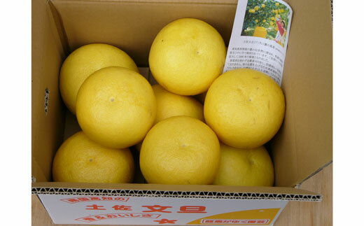 【ふるさと納税】 龍馬がゆく 園芸 土佐文旦 10kg 家庭用 文旦 ぶんたん ブンタン 柑橘 果物 フルーツ 高知県産 特産品 名産 ギフト 贈答用 贈り物 プレゼント お歳暮 お中元 旬 季節 冬 農産物 産地直送 土佐 四国 食品 宿毛市 高知県 12000円 サムネイル3