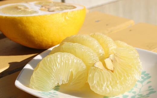 【ふるさと納税】 宿毛産文旦 10kg 家庭用 ぶんたん ブンタン 柑橘 果物 フルーツ 高知県 特産品 名産 贈答用 ギフト 甘酸っぱい 爽やか 香り 果汁 ジューシー 皮むき簡単 ビタミンC 冬 季節限定 産地直送 宿毛市 高知県 14000円 サムネイル2