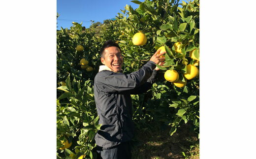 【ふるさと納税】 甘くてさっぱり! 訳あり 土佐文旦 5kg 家庭用 すくも文旦倶楽部 柑橘 果物 フルーツ 特産品 グレープフルーツ 高知県産 和柑橘 贈答品 ギフト 贈り物 冬 旬 健康 ビタミンC 甘酸っぱい 果汁 国産 文旦 ぶんたん ブンタン 規格外 宿毛市 高知県 8000円 サムネイル2