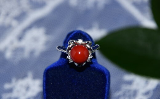 さんごの吉良 Pt血赤珊瑚リング R-4 ジュエリー アクセサリー 指輪 貴金属 プラチナ サンゴ コーラル 宝石 パワーストーン おしゃれ 贈り物 プレゼント 女性 レディース ファッション 高級 希少 天然 宿毛市 高知県 880000円
