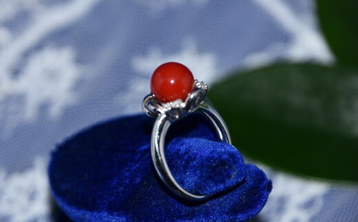 【ふるさと納税】 さんごの吉良 Pt血赤珊瑚リング R-4 ジュエリー アクセサリー 指輪 貴金属 プラチナ サンゴ コーラル 宝石 パワーストーン おしゃれ 贈り物 プレゼント 女性 レディース ファッション 高級 希少 天然 宿毛市 高知県 880000円 サムネイル3