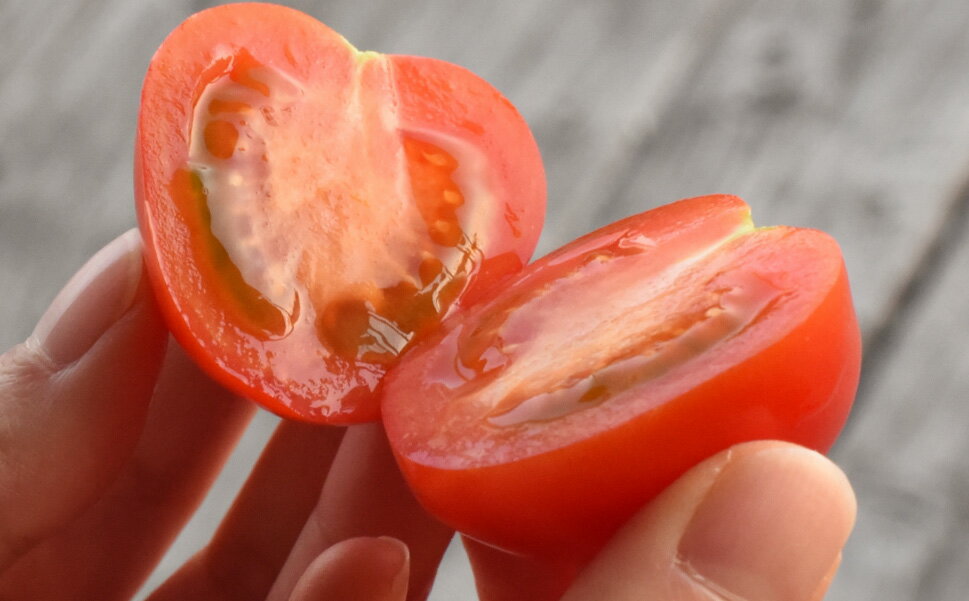 【ふるさと納税】 先行予約 フルチカトマト 2kg フルティカ フルーツトマト ミディトマト ミニトマト プチトマト 数量限定 期間限定 産地直送 取り寄せ 高知県産 サラダ 贈答用 ギフト 濃厚 甘い あまい コク トマト通販 野菜 宿毛市 高知県 12000円 - 画像2