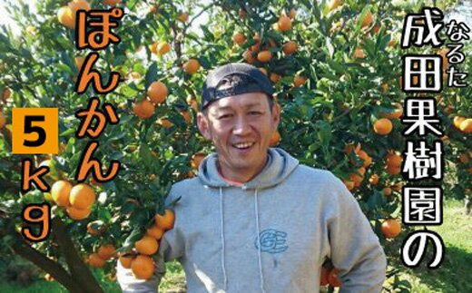 成田果樹園 ぽんかん 5kg 家庭用 柑橘類 みかん 甘い 果物 フルーツ 贈り物 ギフト 冬 旬 ビタミンC 果汁 みかんジュース 柑橘 柚子 デコポン 伊予柑 はっさく 不知火 オレンジ 柑橘系 果実 産地直送 特産品 宿毛市 高知市