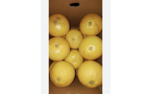 【ふるさと納税】 三木食品 土佐文旦 10kg 家庭用 ぶんたん ブンタン 柑橘 果物 フルーツ 高知県産 特産品 名産 ジューシー 甘酸っぱい 贈り物 ギフト 贈答用 みかん類 和製グレープフルーツ 柑橘類 果汁たっぷり 大玉 お取り寄せ 産地直送 宿毛市 高知県 12000円 サムネイル2