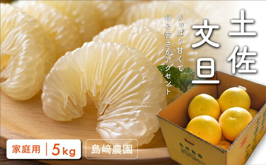島崎農園 土佐文旦 5kg 家庭用 文旦 特産品 柑橘 果物 フルーツ 贈答用 ギフト 贈り物 お歳暮 お中元 文旦 ぶんたん ブンタン 柚子 ゆず 高知県産 産地直送 旬 冬 甘い 酸味 さっぱり 美味しい 新鮮 果汁 ビタミンC 健康 宿毛市 8000円