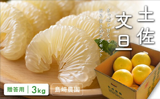 島崎農園 土佐文旦 3kg 贈答用 ぶんたん ブンタン 柑橘 果物 フルーツ 高知県産 特産品 グレープフルーツ 柚子 みかん 返礼品 産地直送 ギフト 贈り物 お歳暮 お中元 農家直送 旬 季節限定 南国フルーツ 宿毛市 高知県 11000円