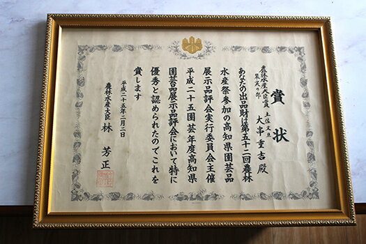 【ふるさと納税】 【第52回農林水産大臣賞受賞】 訳あり 土佐文旦 5kg 家庭用 文旦 結 ゆい 果樹園 ぶんたん ブンタン 柑橘 柑橘類 みかん 蜜柑 ミカン 果物 フルーツ 高知県産 産地直送 特産品 名産品 旬 季節 冬 citrus 人気 美味しい 旬 規格外 宿毛市 高知県 9000円 サムネイル3