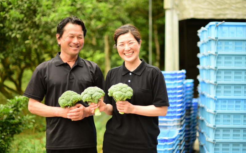 【ふるさと納税】 リピーター続出中!! ブロッコリー 8個 ふくい農園 おいしい 野菜 やさい とれたて 甘い 濃い やわらかい 新鮮 農家 産地直送 人気 好評 管理 水田栽培 有機肥料 おかず 弁当 サラダ 料理 グリーン 健康 ヘルシー 食材 旬 地元 特産品 宿毛市 高知県 6000円 サムネイル3
