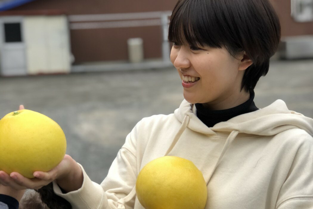 【ふるさと納税】 彩り柑橘園 土佐文旦 贈答用 10kg 文旦 ぶんたん ブンタン 柑橘 みかん フルーツ 果物 贈り物 ギフト 高知県産 特産品 名産 産地直送 旬 果汁 甘酸っぱい ビタミンC 冬 季節限定 贈答品 お歳暮 お年賀 お取り寄せ グルメ 特別栽培 宿毛市 高知県 30000円 サムネイル2