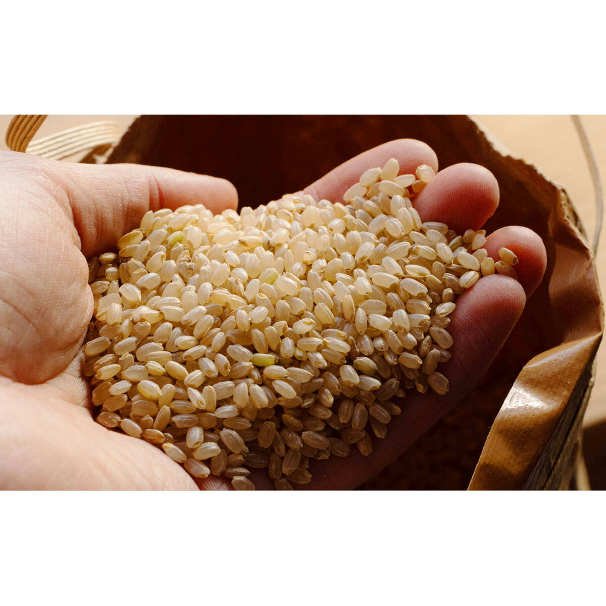 【ふるさと納税】 令和7年産 清家農園 錦米 にこまる 玄米 3kg 5kg 10kg 特別栽培 農薬不使用 米 お米 コメ ニコマル 有機栽培 自然栽培 健康 美味しい おいしい 贈答用 ギフト 贈り物 プレゼント 食品 農産物 地域特産品 高知県産 四国 宿毛市 高知県 10000円~ - 画像2