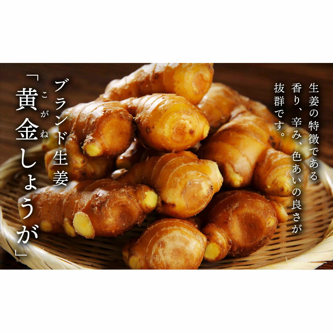 高知県産 黄金しょうが 4kg 生姜 ショウガ 国産 有機栽培 根菜 薬味 香辛料 健康 美容 ダイエット 免疫力アップ 冷え性対策 むくみ解消 食欲増進 スパイス 調味料 料理 ジンジャーティー しょうが湯 保存食 特産品 地域支援 宿毛市 高知県 24000円