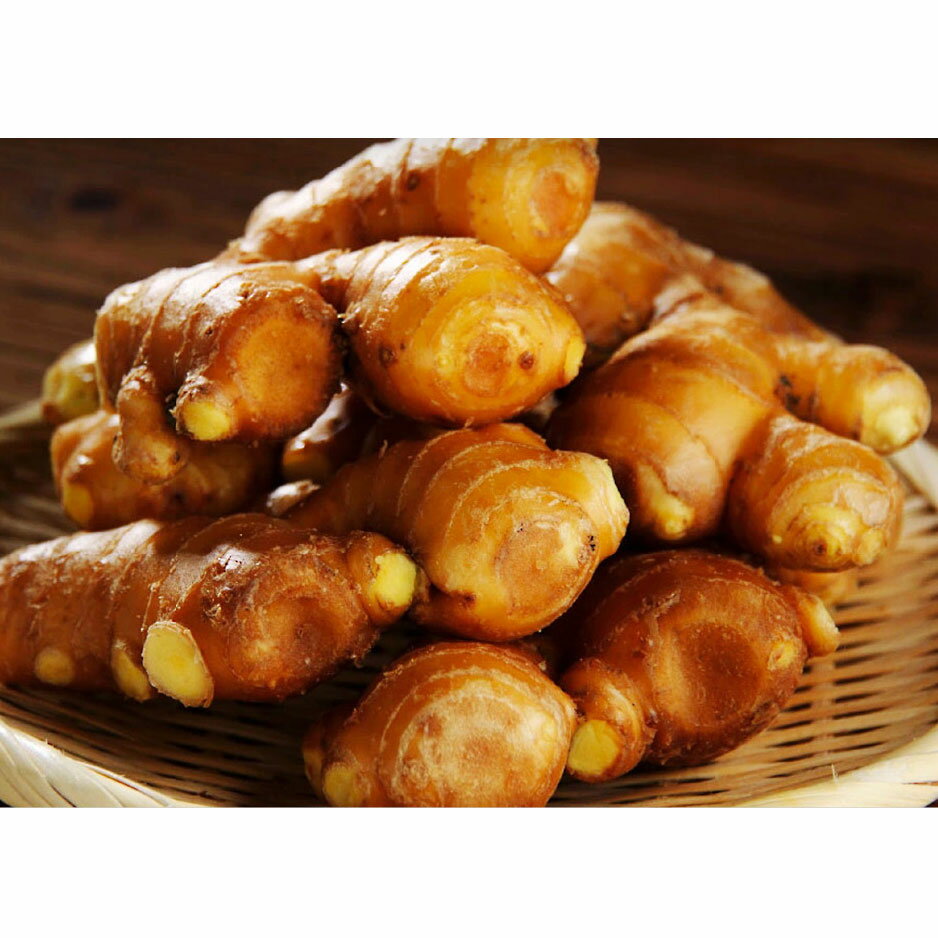 【ふるさと納税】 高知県産 黄金しょうが 4kg 生姜 ショウガ 国産 有機栽培 根菜 薬味 香辛料 健康 美容 ダイエット 免疫力アップ 冷え性対策 むくみ解消 食欲増進 スパイス 調味料 料理 ジンジャーティー しょうが湯 保存食 特産品 地域支援 宿毛市 高知県 24000円 - 画像2