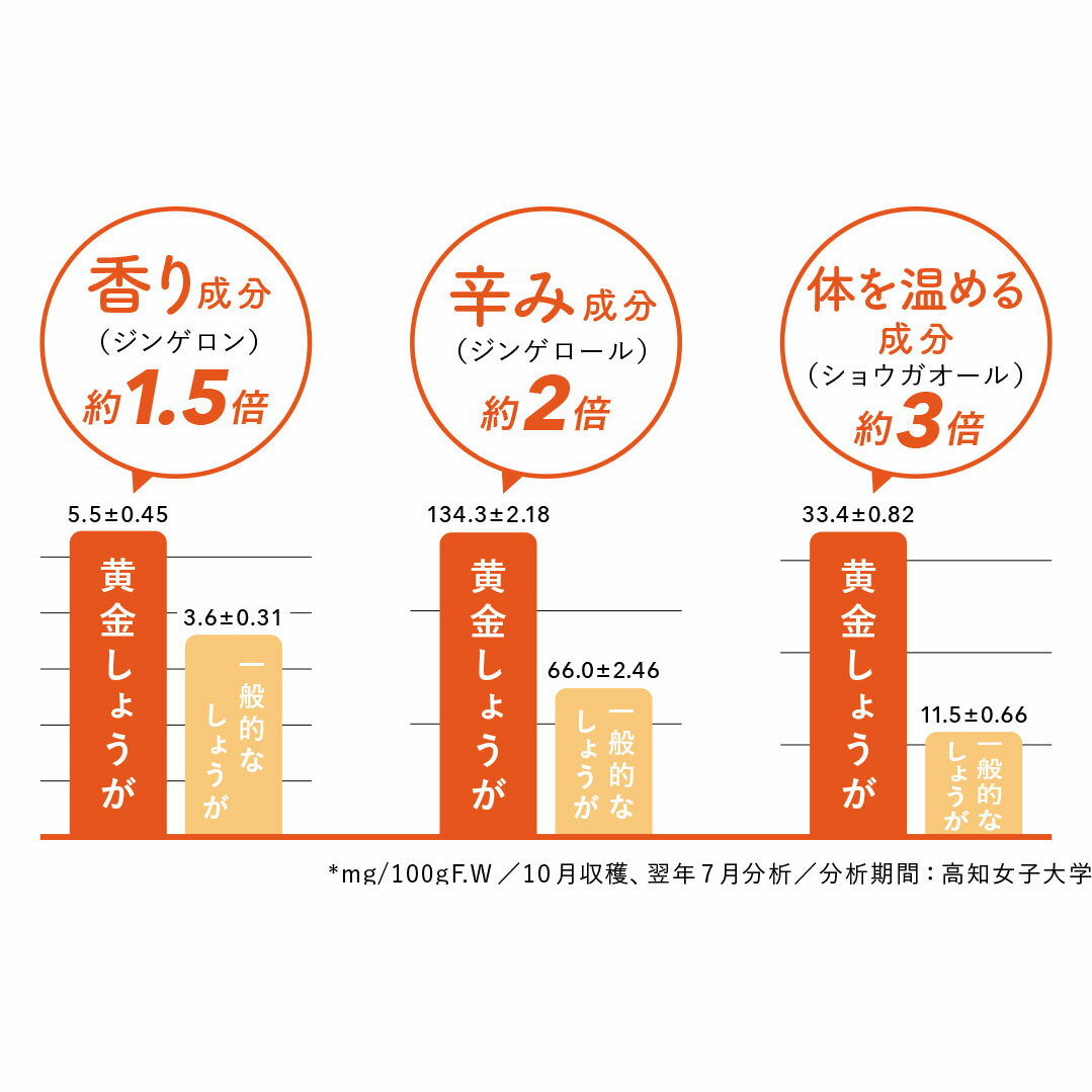 【ふるさと納税】 高知県産 黄金しょうが 4kg 生姜 ショウガ 国産 有機栽培 根菜 薬味 香辛料 健康 美容 ダイエット 免疫力アップ 冷え性対策 むくみ解消 食欲増進 スパイス 調味料 料理 ジンジャーティー しょうが湯 保存食 特産品 地域支援 宿毛市 高知県 24000円 - 画像3