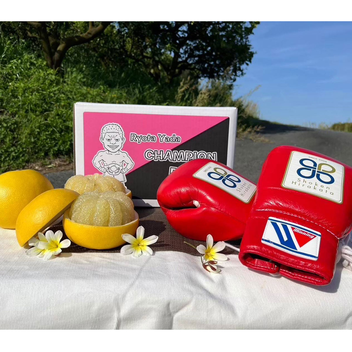 訳あり チャンピオン文旦 5kg 家庭用 矢田良太 傷あり 規格外 ぶんたん ブンタン 文旦 人気 柑橘 果物 フルーツ 高知県産 特産品 グレープフルーツ ジューシー 甘酸っぱい 爽やか 果汁 ビタミンC 贈り物 ギフト 贈答用 お歳暮 お中元 宿毛市 高知県 13000円