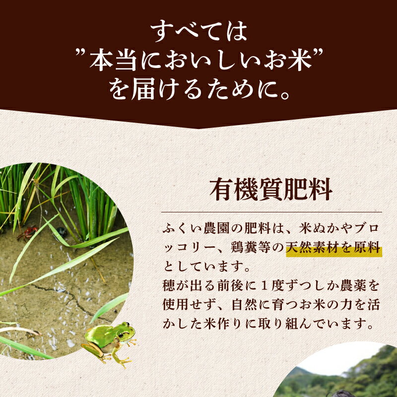 【ふるさと納税】 米 コシヒカリ 定期便 令和7年産 15kg 10kg 5kg ヒノヒカリ 米 ふるさと納税 お米 ふるさと納税米 ふるさと米 5kg ふるさと納税米10kg R7 お米 こしひかり R7年産 精米 白米 人気ブランド 米 こめ 送料無料 数量限定 宿毛市 高知県 - 画像3