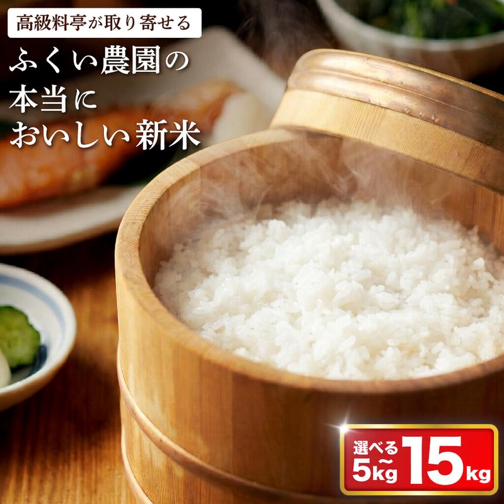 米 コシヒカリ 定期便 令和7年産 15kg 10kg 5kg ヒノヒカリ 米 ふるさと納税 お米 ふるさと納税米 ふるさと米 5kg ふるさと納税米10kg R7 お米 こしひかり R7年産 精米 白米 人気ブランド 米 こめ 送料無料 数量限定 宿毛市 高知県