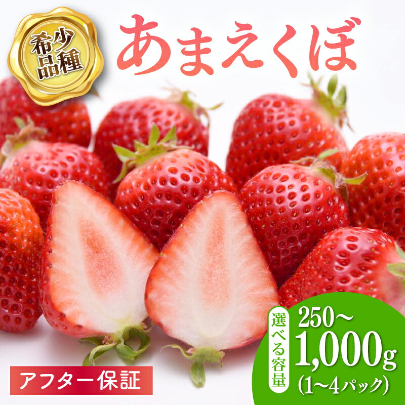 【2026年1-3月発送】いちご アフター保証 選べる 容量 いちご 250g ~1kg 新鮮 冷蔵 イチゴ 小分け 苺 果物 スイーツ 数量限定 期間限定 あまえくぼ 希少品種 贈答 ギフト プレゼント 1月より順次発送 高知県 宿毛市
