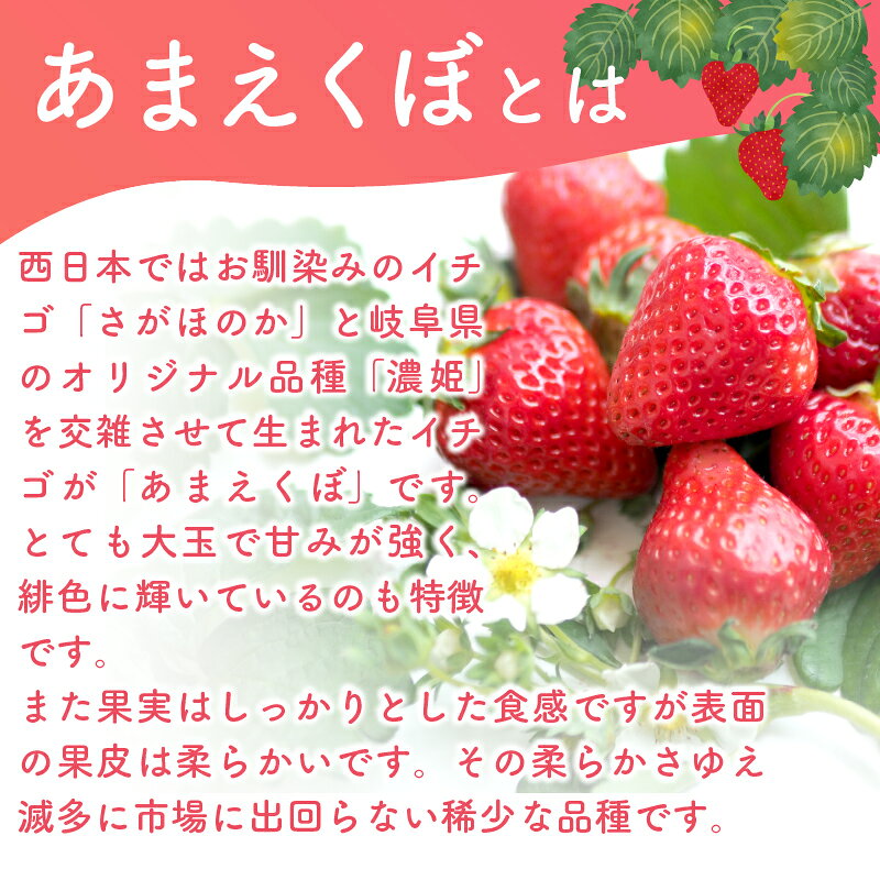 【ふるさと納税】 【2026年1-3月発送】いちご アフター保証 選べる 容量 いちご 250g ~1kg 新鮮 冷蔵 イチゴ 小分け 苺 果物 スイーツ 数量限定 期間限定 あまえくぼ 希少品種 贈答 ギフト プレゼント 1月より順次発送 高知県 宿毛市 サムネイル3