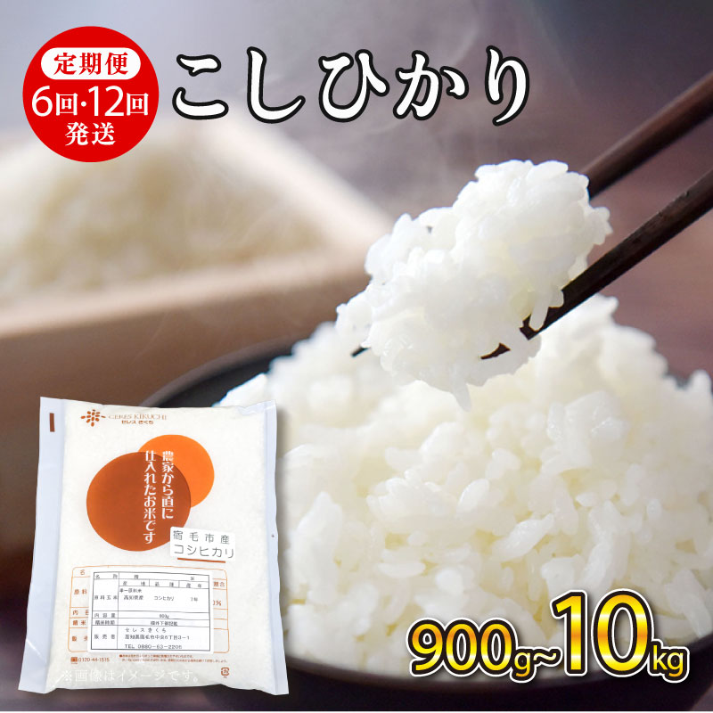 令和7年産 米 コシヒカリ 定期便 900g ~ 10kg 5kg お米 精米 白米 こめ おこめ 3kg 2kg 6回 12回 毎月 隔月 2025年産 R7 ふるさと米 ご飯 一人暮らし お試し 国産 産地直送 ギフト プレゼント 贈答 ふるさと納税 宿毛市 高知県