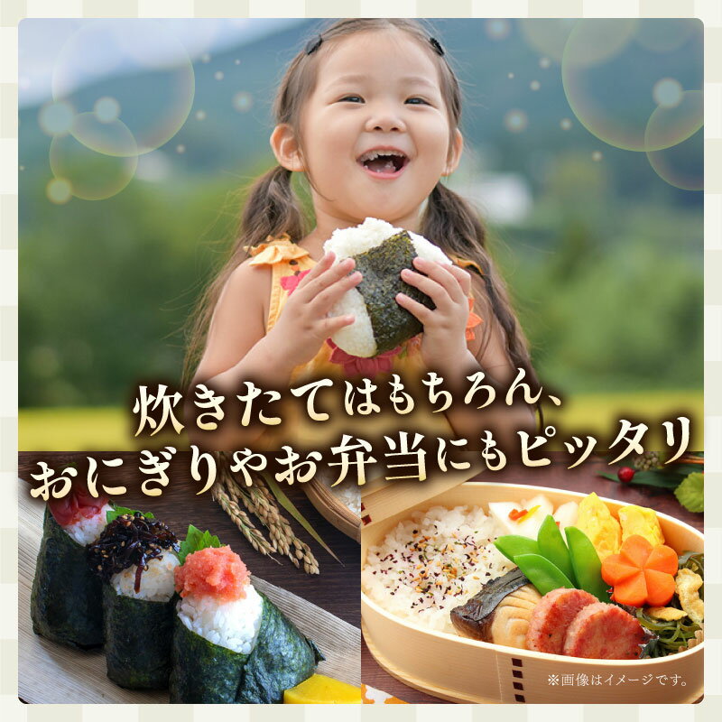 【ふるさと納税】 令和7年産 米 コシヒカリ 定期便 900g ~ 10kg 5kg お米 精米 白米 こめ おこめ 3kg 2kg 6回 12回 毎月 隔月 2025年産 R7 ふるさと米 ご飯 一人暮らし お試し 国産 産地直送 ギフト プレゼント 贈答 ふるさと納税 宿毛市 高知県 - 画像2