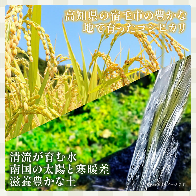【ふるさと納税】 令和7年産 米 コシヒカリ 定期便 900g ~ 10kg 5kg お米 精米 白米 こめ おこめ 3kg 2kg 6回 12回 毎月 隔月 2025年産 R7 ふるさと米 ご飯 一人暮らし お試し 国産 産地直送 ギフト プレゼント 贈答 ふるさと納税 宿毛市 高知県 - 画像3