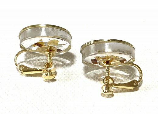 【ふるさと納税】イヤリング（ラメ風宗田節入りのレジンアクセサリー）(スタッドタイプ)ハンドメイド作品 ゴールド カジュアル かわいい アクセント おしゃれ かつお節 個性的 オリジナル 結婚式 キラキラ 高知県 高知 土佐清水 ふるさとのうぜい 故郷納税【R00515】 サムネイル3