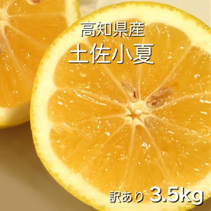 【ふるさと納税】【令和8年5月発送】 訳あり 小夏 3.5kg みかん ミカン 果物 果実 フルーツ 日向夏 ニューサマーオレンジ おやつ デザート おいしい ワケアリ 自宅用 白浜農園 旬 土佐小夏 返礼品 高知県 高知 土佐清水 故郷納税 ふるさとのうぜい 1万円 10000円【R01152】 サムネイル3