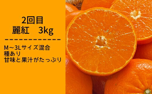【ふるさと納税】【令和8年発送】　柑橘フルーツ4回定期便（ぽんかん3kg・麗紅3kg・文旦5kg・小夏3kg）みかん4種 定期便 果物 果実 柑橘 フルーツ デザート おやつ 美味しい おいしい 国産 ギフト プレゼント 贈答 高知県 高知 土佐清水 故郷納税 【J00018】 サムネイル3