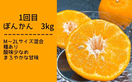 【ふるさと納税】【令和8年発送】　柑橘フルーツ4回定期便（ぽんかん3kg・麗紅3kg・文旦5kg・小夏3kg）みかん4種 定期便 果物 果実 柑橘 フルーツ デザート おやつ 美味しい おいしい 国産 ギフト プレゼント 贈答 高知県 高知 土佐清水 故郷納税 【J00018】 サムネイル2