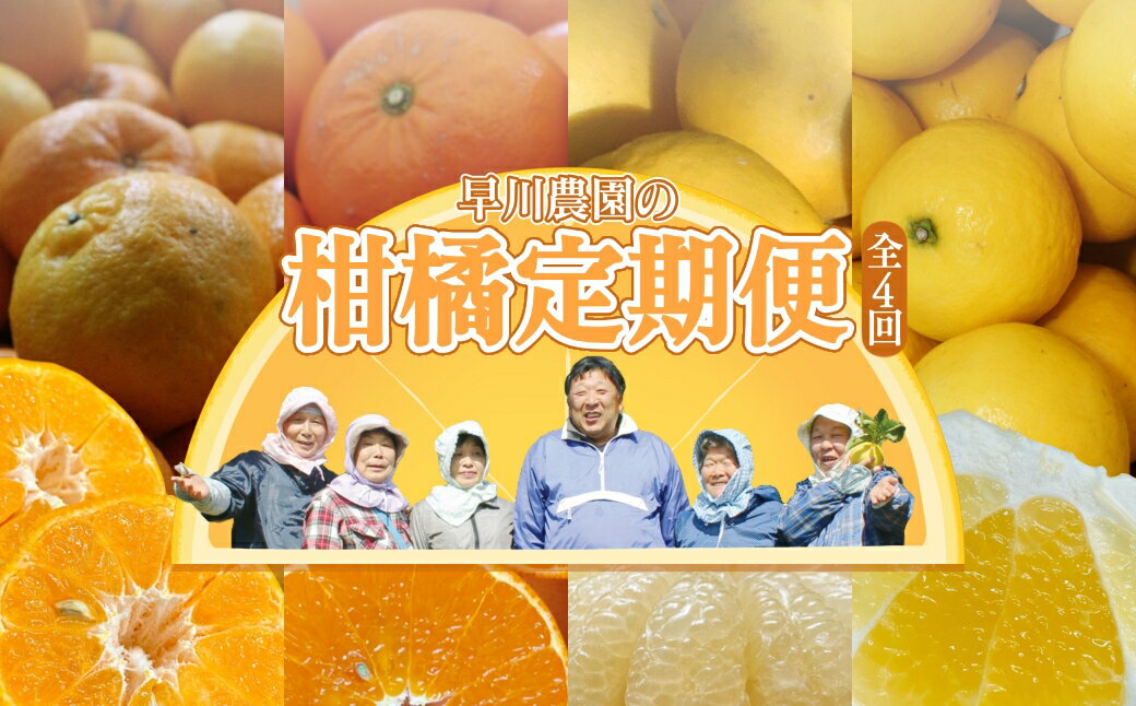 【令和8年発送】　柑橘フルーツ4回定期便（ぽんかん3kg・麗紅3kg・文旦5kg・小夏3kg）みかん4種 定期便 果物 果実 柑橘 フルーツ デザート おやつ 美味しい おいしい 国産 ギフト プレゼント 贈答 高知県 高知 土佐清水 故郷納税 【J00018】