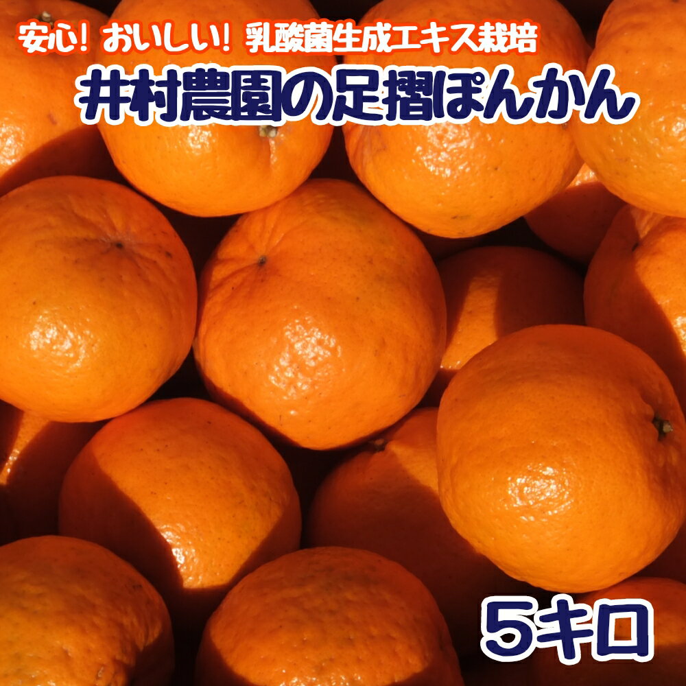 R8.1月下旬発送 ご贈答◎ ギフト◎ 完熟 足摺ぽんかん 5kg デコポンの親 みかん 柑橘 果物 果実 ミカン ぽんかん ポンカン フルーツ おやつ デザート 5キロ 美味しい おいしい 国産 送料無料 高知 ギフト ふるさとのうぜい 故郷納税 返礼品【R01489】