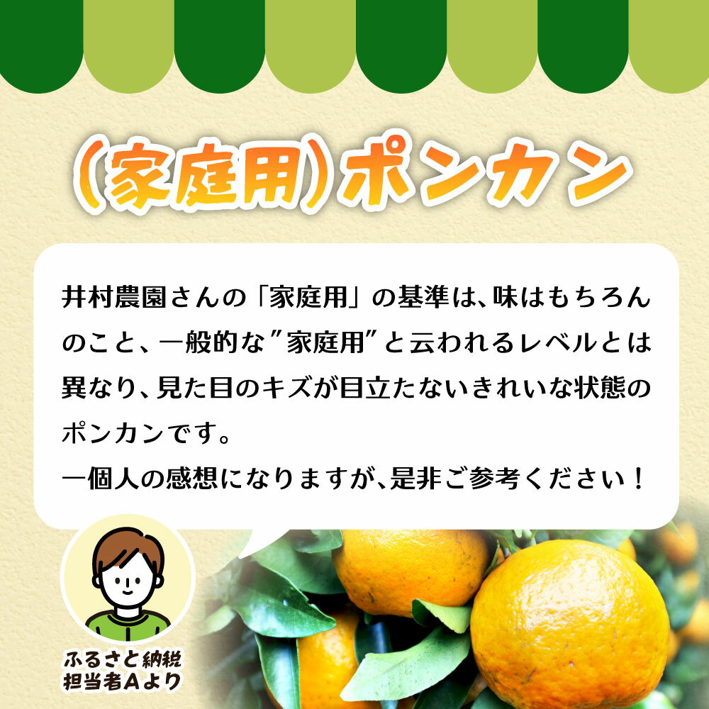【ふるさと納税】R8.1月下旬発送 家庭用だけど家庭用じゃない!? 訳あり 足摺ぽんかん 5kg 家庭用 デコポンの親 みかん 果実 ミカン ぽんかん ポンカン フルーツ おやつ デザート わけあり 5キロ 美味しい 国産 送料無料 高知県 ふるさとのうぜい 故郷納税【R01488】 サムネイル2