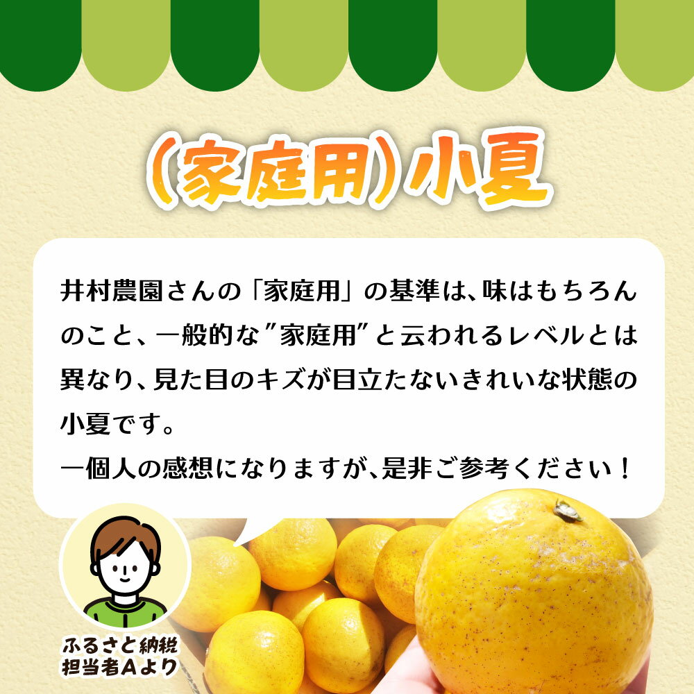 【ふるさと納税】R8年4月中旬以降発送 家庭用だけど家庭用じゃない!? 訳あり 小夏 5kg 家庭用 日向夏 みかん ミカン 柑橘 フルーツ 果物 果実 こなつ ニューサマーオレンジ 土佐小夏 とさ小夏 旬 おいしい ワケアリ 自宅用 ご家庭用 国産 高知 土佐清水 返礼品【R01492】 サムネイル2